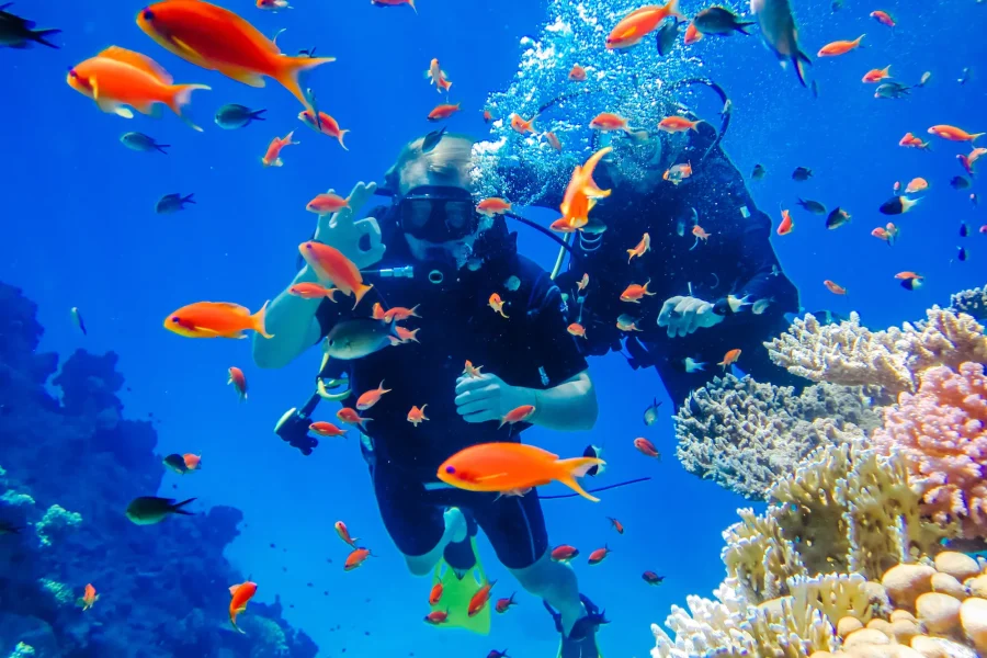 Scuba Diving
